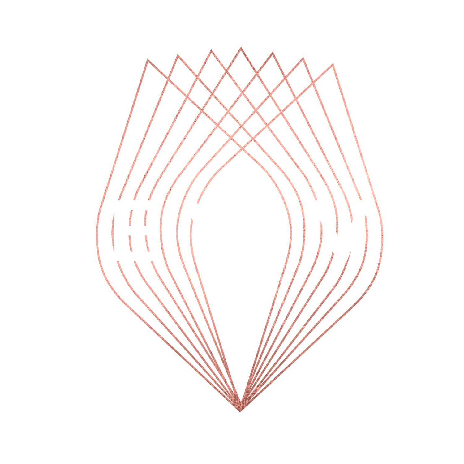 BioTE Omega 3 + COQ10 Revive Lifestyle Medicine